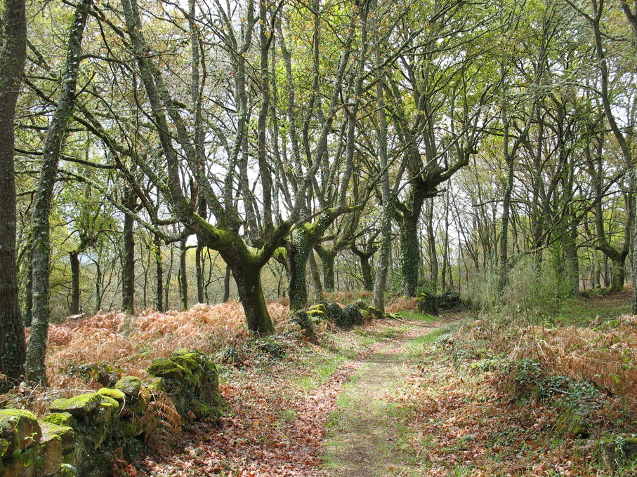 Galicia Vía de la Plata Camino Sanabrés